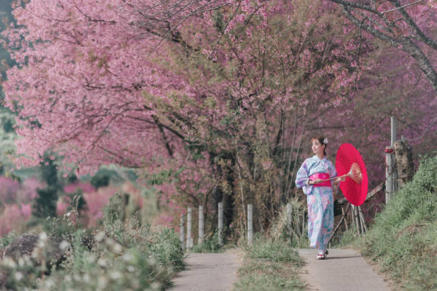 istock A woman wearing a kimono is walking down a path with a red umbrella 2159154466