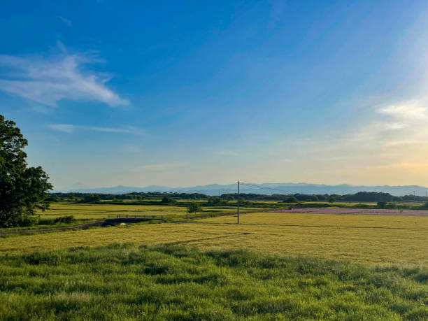 Japanese landscape with blue sky and countryside.
