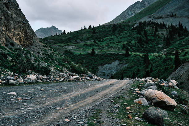 istock Dirt road along mountain pass in June 2159155737