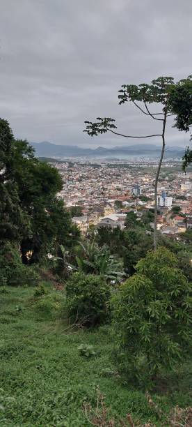istock City and jungle 2159160084
