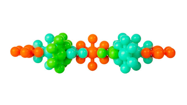 istock Plastic model of chemical elements of protein molecules, isolated on white background 2159162006