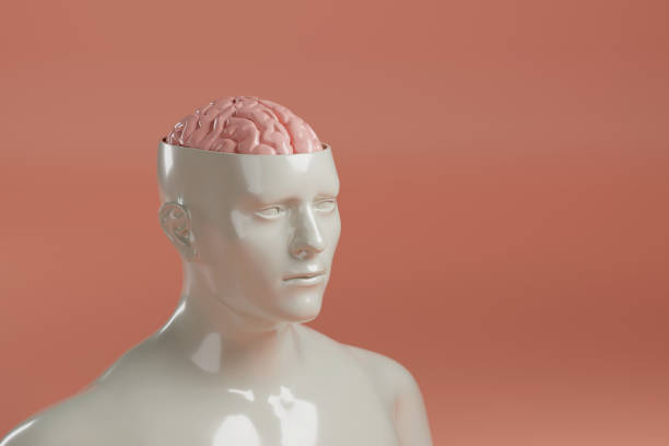 istock Sculpture of a man with his head open and his brain exposed with copy space. 3d illustration. 2159162911