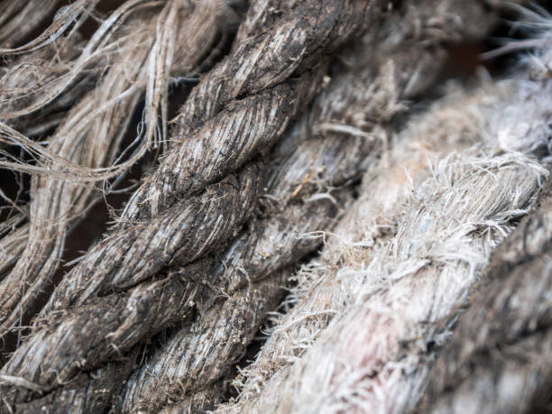 Braided rope with coarse fiber selective focus