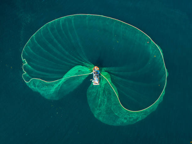 istock Netting on the Hon Yen sea 2159170651