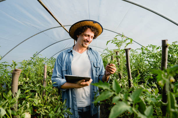 istock Planning all the details before harvesting 2159177996