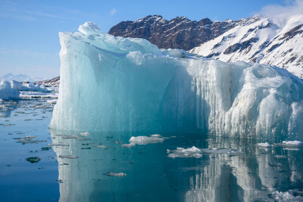 istock Melting Icebergs in the Arctic 2159179475