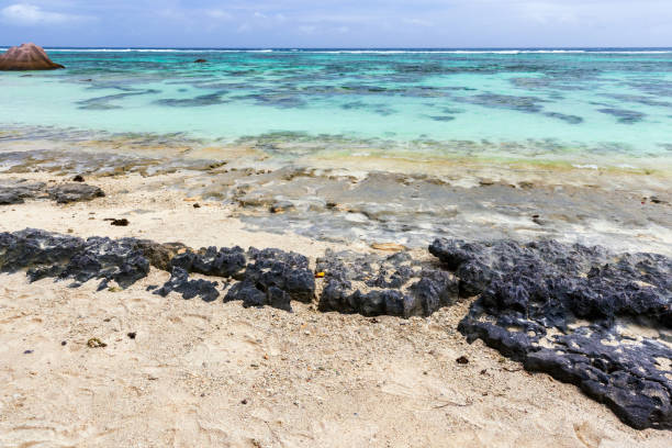 Stones on the seashore as a background.