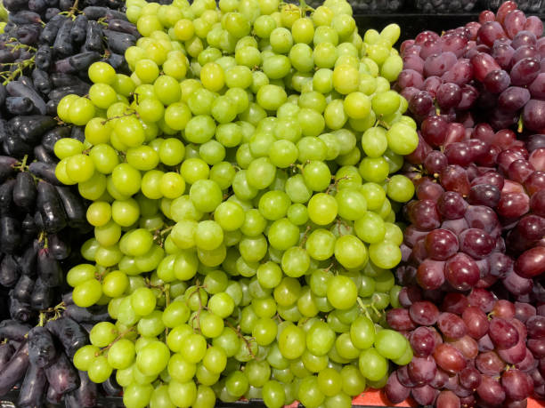 istock The colorful grapes. 2159182257