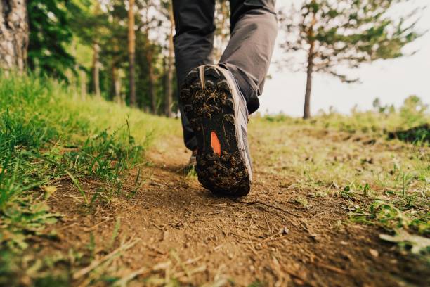 istock Men's footstep in the forest 2159182628