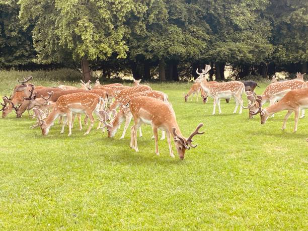 istock A very aesthetic view of nature 2159182974