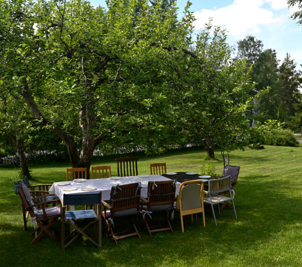 istock table with tablecloth and chairs in the garden under an apple tree on a sunny day 2159184504