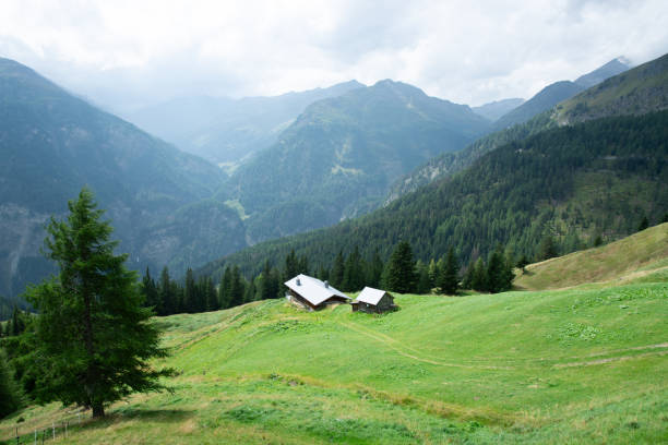 istock Alpine landscape in Austria 2159188553