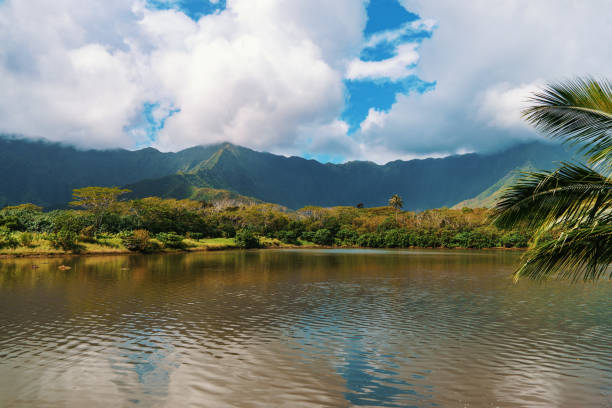 istock Lake, mountains in background, palm tree in foreground 2159189581