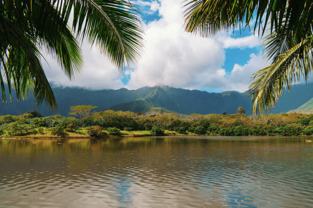 A beautiful scene featuring a lake with mountains in the background and palm trees in the foreground, creating a stunning natural landscape