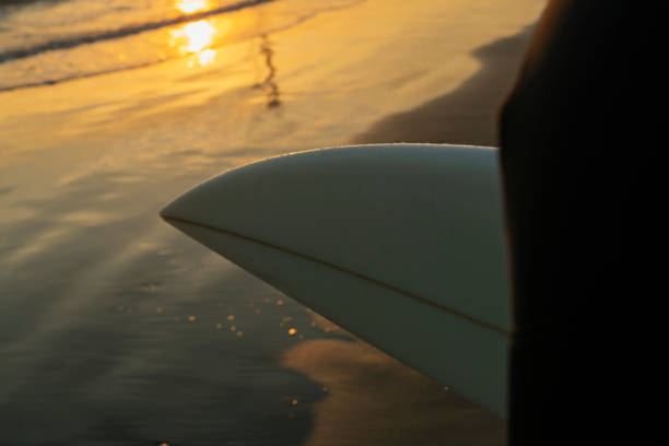 Man surfing in the morning ocean.