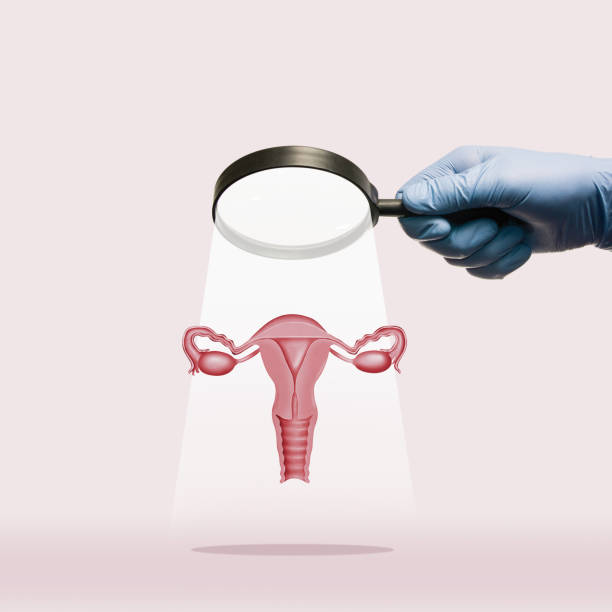 istock Concept of a healthy female reproductive system. 2159191633