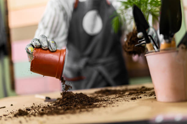 Florist Working with Soil in Store
