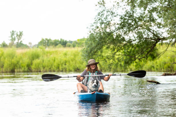 istock Australian Shepherd Dog Shaking Water Off While Kayaking 2159200185