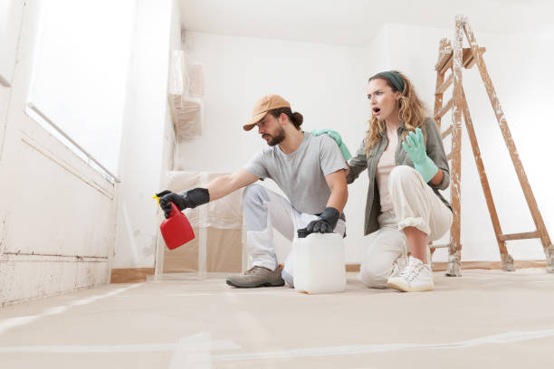 istock Couple using professional products for DIY mold remediation: Effective home treatment for a healthierliving environment. Restoration, cleaning, and painting home rooms, woman showing concern 2159201055