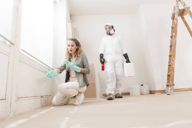 istock Concerned woman at a home renovation site shows a mold problem to a professional worker using products for mold remediation treatment. Concept of wall painting, cleaning, and mold removal service 2159201156