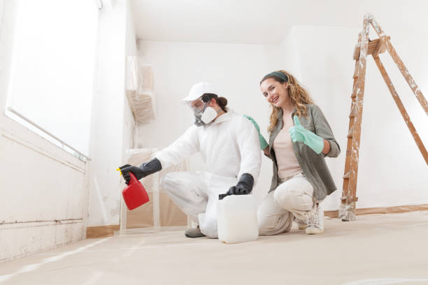 istock Call the mold removal service for mold remediation treatment. Smiling woman resolve problem and shows a thumb up to the camera. Specialist professional worker using products at home renovation site 2159201551