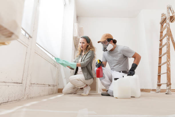 istock Concerned woman at a home renovation site shows a mold problem to a professional worker using products for mold remediation treatment. Concept of wall painting, cleaning, and mold removal service 2159201685