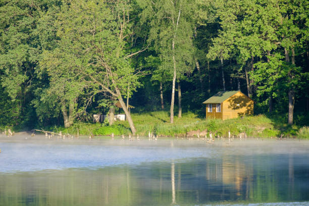 istock wooden house among the trees by the river 2159202845