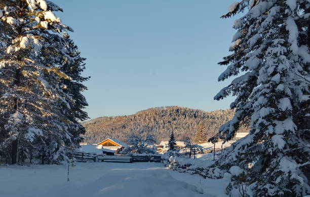 istock Snow-covered taiga at sunset 2159205315