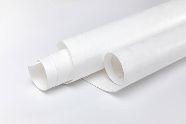 istock Rolled paper isolated on a white background. Rolled paper. White wrapping paper, mock up, template, waterproof material of Tyvek. 2159206882