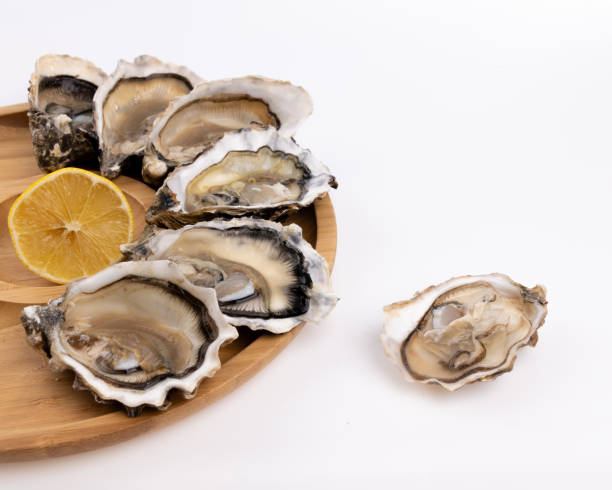 istock plate of fresh raw oysters isolated on white background, top view 2159208581