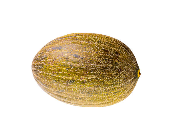 istock Close-up view of ripe melon isolated. 2159209677