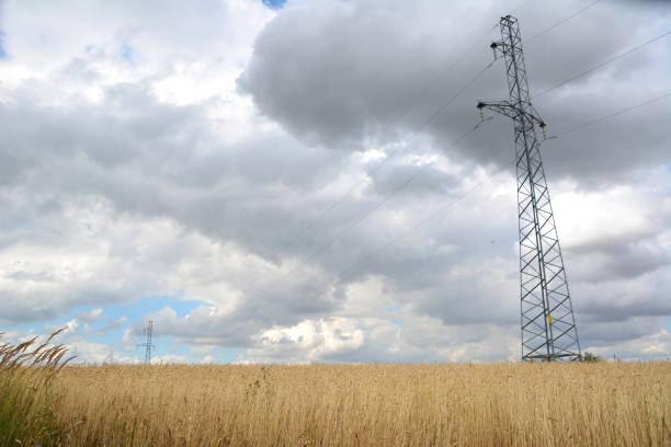 istock a large electricity pylon in a field with a cloudy sky in the background 2159213220