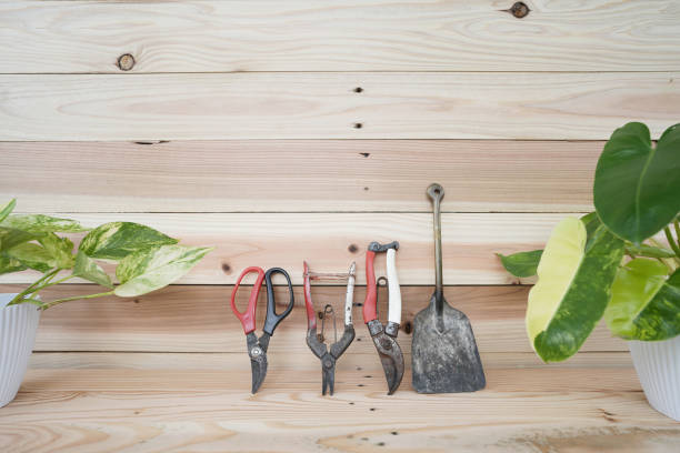 Rustic gardening tools and plants on wooden table