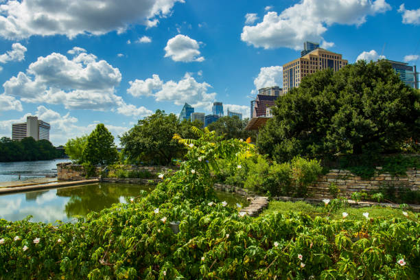 The Ann and Roy Butler Trail along Lady Bird Lake in Austin, Texas, is embraced by lush greenery and blooming plants, set against the serene waters. Above, a vibrant blue sky dotted with fluffy clouds enhances the scene. In the backdrop, a modern skyline with reflective glass buildings seamlessly integrates the urban landscape with the surrounding natural beauty.