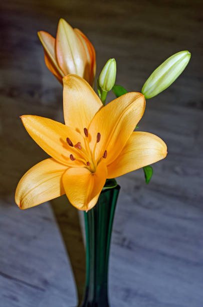 Flowers of lilies in a vase