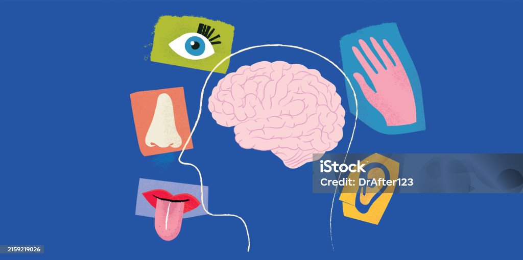 Sight Sense Perception Sensory Perception Stock Illustration - Download Image Now - Abstract ...