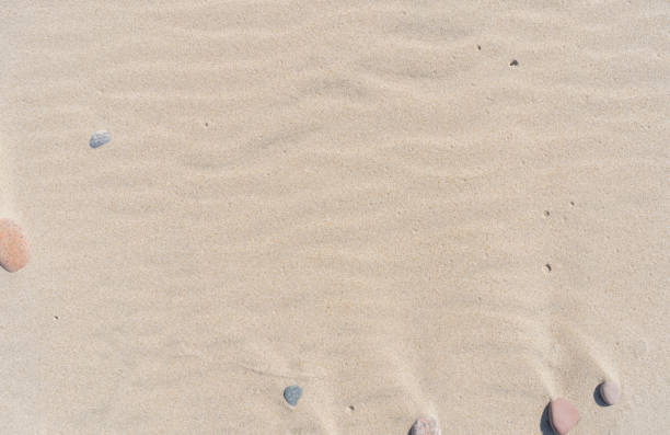 Sand and small stones on the beach. Sand texture. Brown sand. Abstract background
