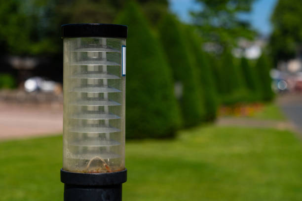 Close-up of a lighting lantern in a green park. Focus on foreground.
