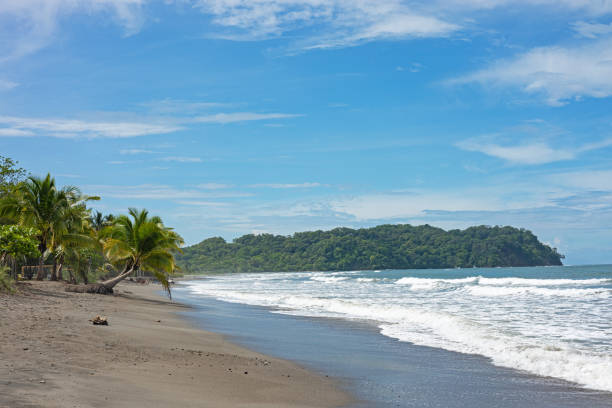 beautiful pacific coast sand beach in Samara in Costa Rica in Central America