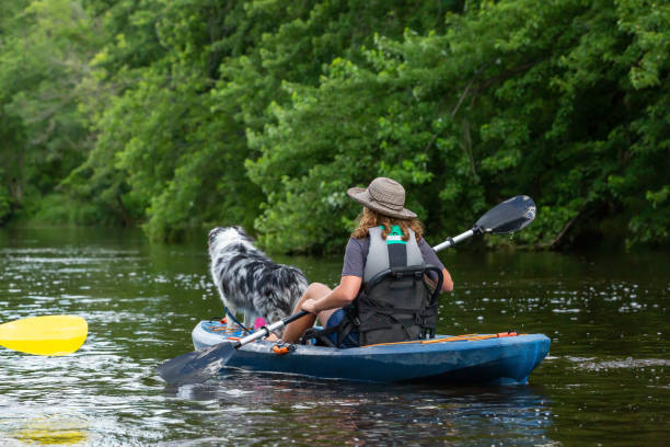 istock Girl Kayaking Down A River With Her Dog 2159232781