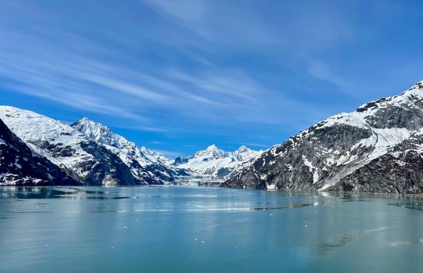 istock Glacier Bay National Park, Alaska 2159234425