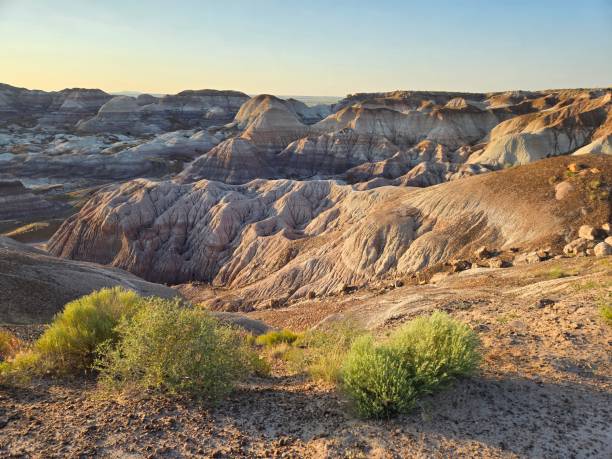 istock Tranquil Sunset Over Petrified Forest National Park 2159234769