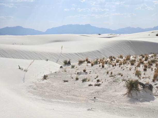 istock Beautiful Views at White Sands National Park 2159234788