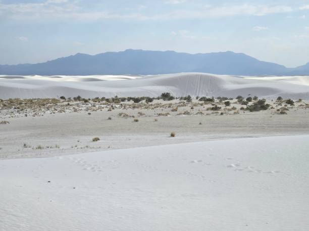 istock Beautiful Views at White Sands National Park 2159234804