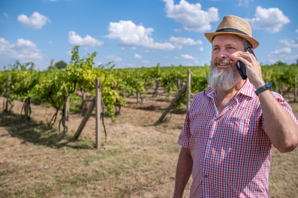 A handsome mature man standing with his arms folded while on a wine farmhttp://195.154.178.81/DATA/istock_collage/0/shoots/784446.jpg