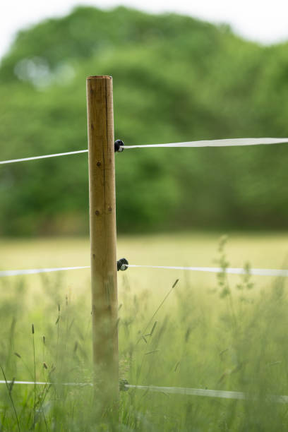 istock Pole supporting an electric fence by a field.. 2159238932