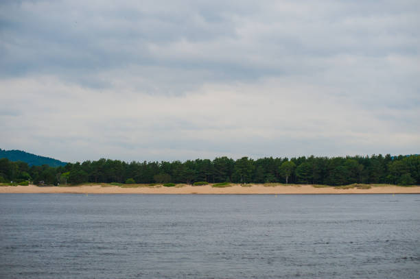 Sandy beach by the sea with a forest behind it.