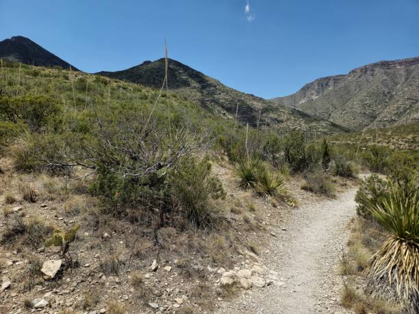 istock Tranquil Views at Guadalupe Mountains National Park 2159239193