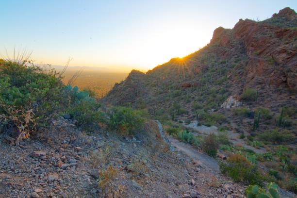 istock Desert Sunset in Arizona Mountains 2159239246