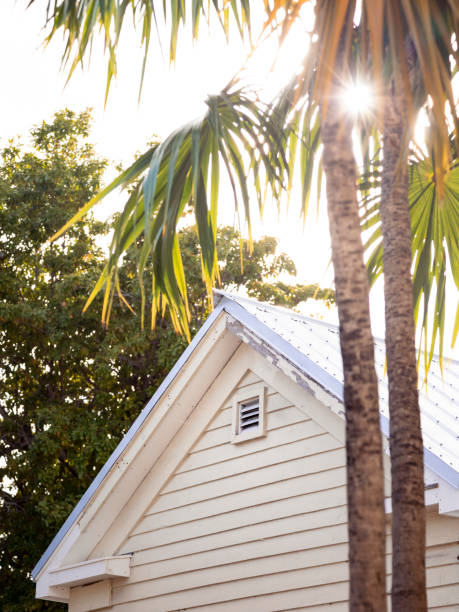 Roofline on Key West style architecture with lush green Palms leaning over roof. With blue sky background.